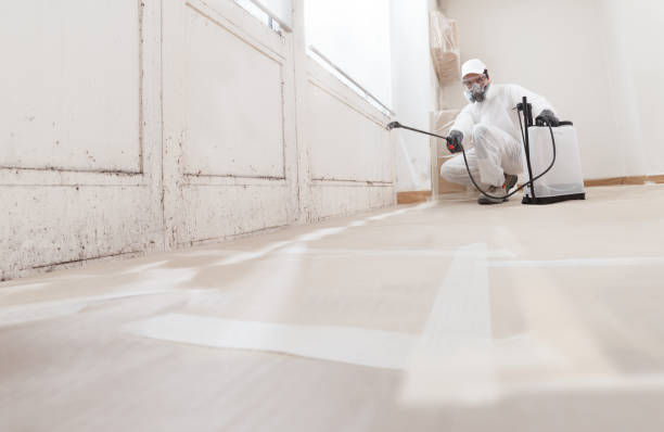24/7 Emergency Attic Mold Remediation experts in Wellington, TX